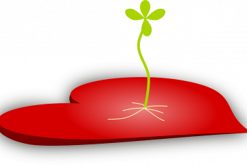 Where do you place your heart? If it is in anything in this world you will end up in a bad spiritual place.