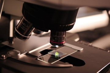 Are science and religion compatible? Of course they are,