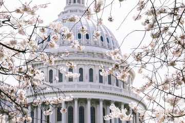 Is Liberal Wokeism in line with Catholic Social teaching?